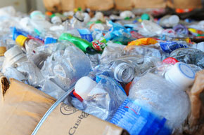 Bottles ready to be recycled